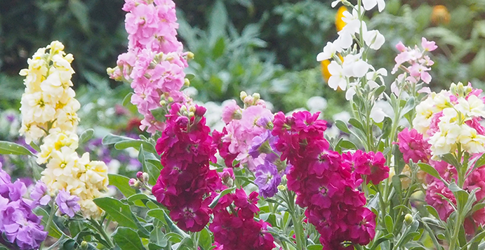 お取り寄せ料金