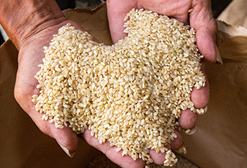 夷隅産コシヒカリ