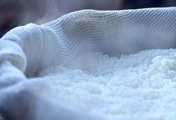 夷隅産ヒメノモチ